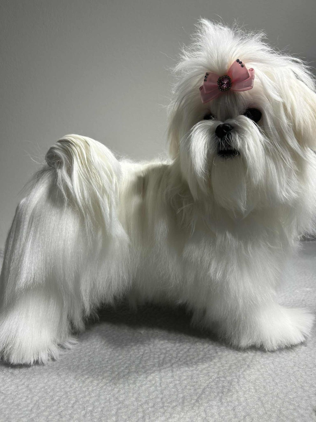 In-soo song of white