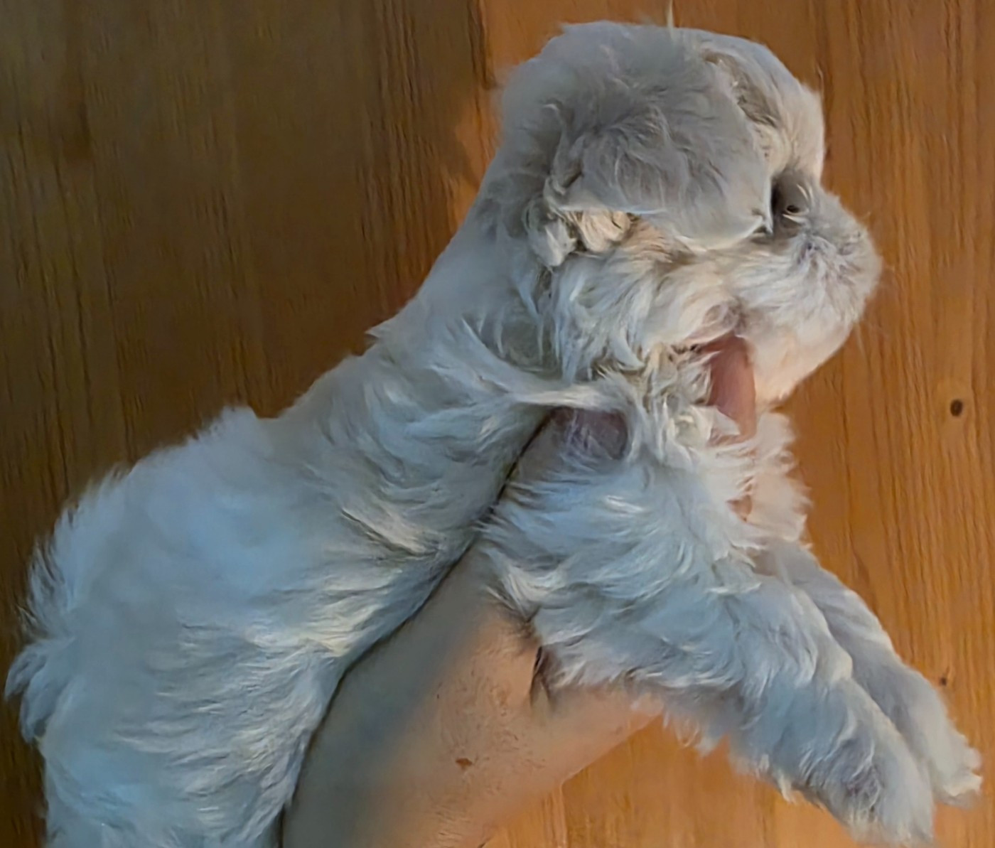 Réservations ouvertes