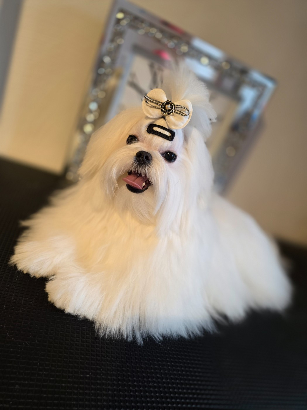 Réservations ouvertes